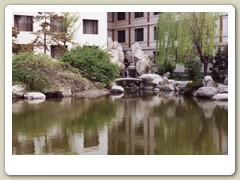 Xi'an Garden Hotel - our hotel