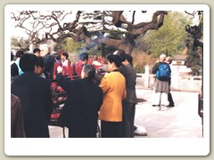 On the temple grounds