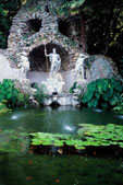 Trsteno near Dubrovnik,
the oldest arboretum in Europe
(photo by Mladen Zubrinic)