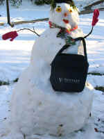 snow people02.jpg (64688 bytes)