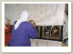 Carpet making school