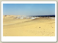 Nubian Desert camel ride to monastery