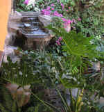 hotel14.jpg (140394 bytes)