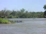 river float10.jpg (53233 bytes)