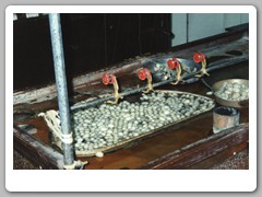 Silk worm cocoons being washed