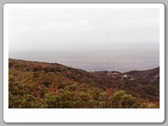 Some more of the battleground