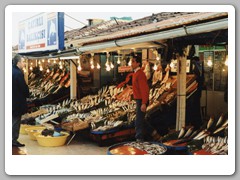Fish market that we walked to from our hotel