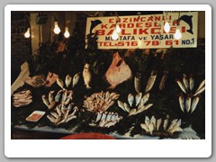 Fish market that we walked to from our hotel