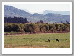 Bus ride over the Taurus Mountains