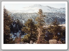 Stopped here for the picture